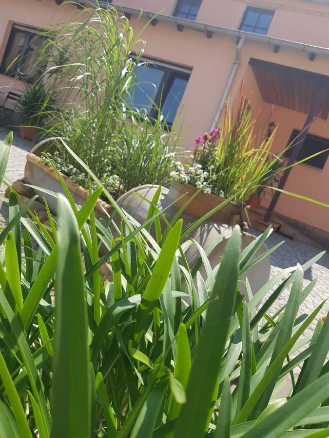 Hotel "Pension Marlis" Garni Reichenberg  ภายนอก รูปภาพ